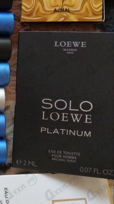 loewe platinum